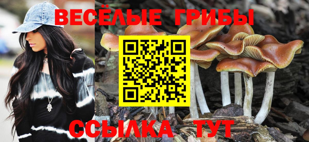 Галлюциногенные грибы Psilocybine cubensis Людиново